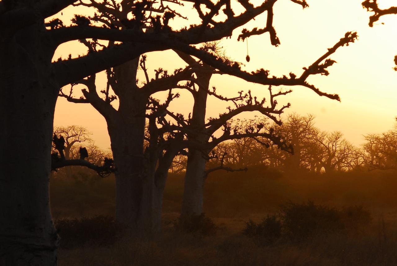 Baobab Soleil 호텔 Sindia 객실 사진